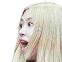 rosepog rosepog