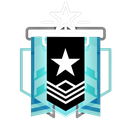 platinum Discord emoji