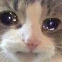 cry