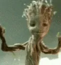 dancegroot