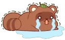 tanukisadcry