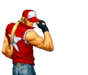 terrycap terrycap