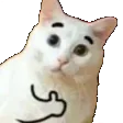 ThumbsUpKitty