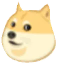 doge
