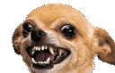 grrr
