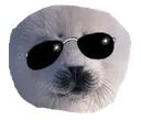 SealWithIt