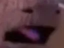 bleh