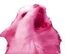 pscream