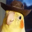 howdy