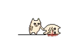 catslammurder