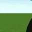 DemiStride_4