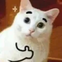 thumbsupcat