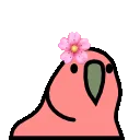 flowerparrot