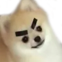 angerpup