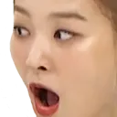 SeulgiPog