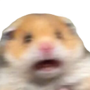 scaredhamster Discord emoji