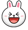 funnybunny