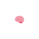 tinybrain tinybrain