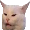 SmudgeTheCat