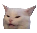 MA40_codm_angrycat Discord emoji