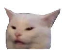 NZ40_codm_angrycat
