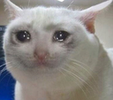 sadmeof