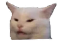 kitty_confused kitty_confused
