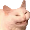 CatScreech CatScreech