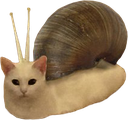 :snailcat: Discord Emote