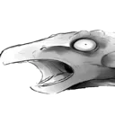 panickedAnky