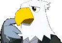 apollothinkstare