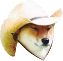 wotintarnation