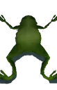Froge Froge
