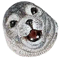 sealspin