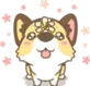 Corgi_Flowers