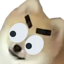 eyebrows