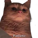 catPathetic
