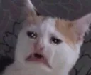 cri