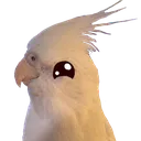 chione chione