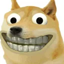 doge