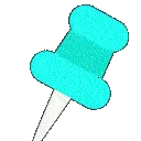 pin