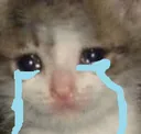Cattocry