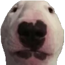 WALTER