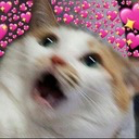 :wha_love: Discord Emote