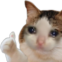 catlike Discord emoji