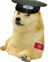 dogenazi dogenazi