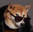 you_cool_ngl_frfr_doe
