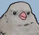 VDisappointedBird VDisappointedBird