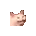 cattosmolexcite