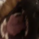 a_klaus_angry a_klaus_angry